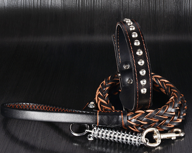 WASABIS Genuine Leather Rope Leash and Cowhide Dog Collar