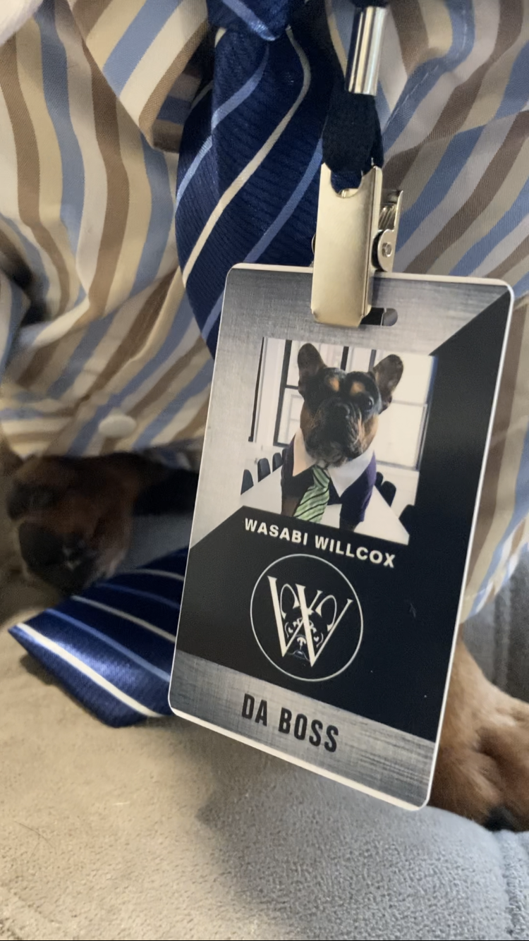 WASABIS Frozen Beef & Bone