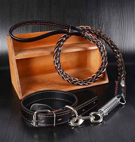 WASABIS Genuine Leather Rope Leash and Cowhide Dog Collar