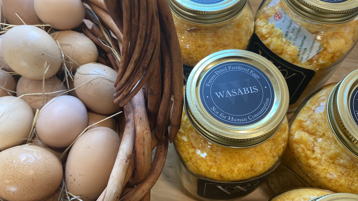 Wasabis FreezeDried Fertilized Eggs (Chicken) 32oz wasabispetstore